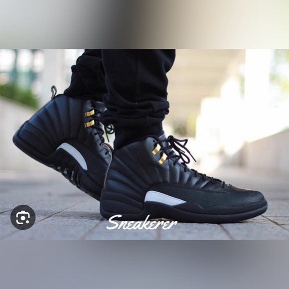 Air Jordan Master 12s - Picture 5 of 5